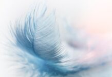 Jak dołożyć jedno pióro do resora?