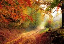 W którym roku rozpoczęto produkcję Fiata Cinquecento?