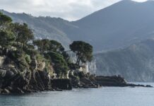 Ile kosztuje płyn do spryskiwaczy w Biedronce?