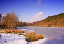 Przy jakiej temperaturze zamarza woda w samochodzie?
