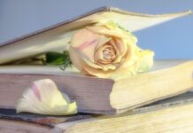 Ile kosztuje Używana Honda Civic?