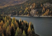 Jaki ciężarek do dalekich rzutów?